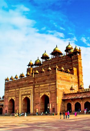 India Tour