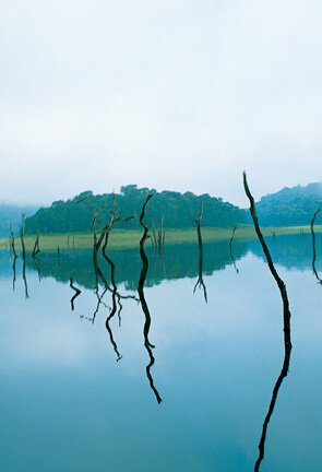 Kerala Tour