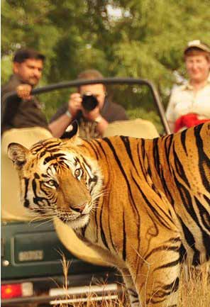 tour my india