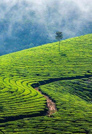 Kerala Tourism